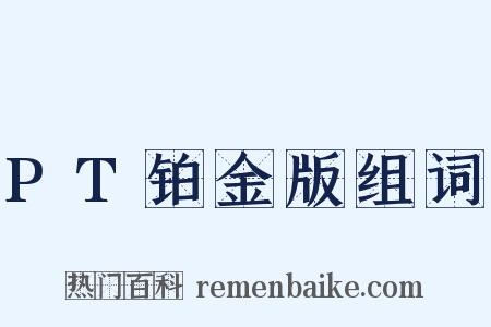 PT铂金版组词是什么意思的图片